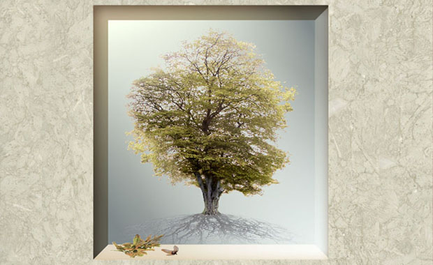 You are currently viewing Osiedle w drzewach